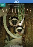 Madagascar - Edición Especial Bluray