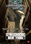 Synecdoche, New York - 